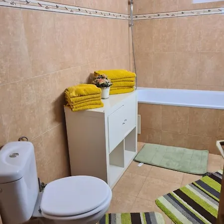 Vila Adina Apartment *