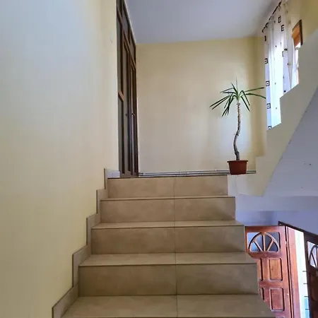Apartment Vila Adina