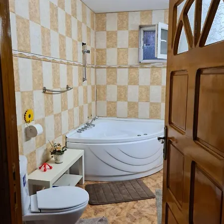 Vila Adina Apartment *